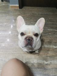 -IDEA·艾蒂尔科技美肤·日式美甲美睫集合店