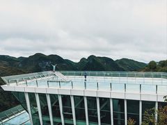 -百色大石围天坑群