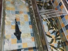 -缘福乡村铁锅炖民宿(八达岭店)