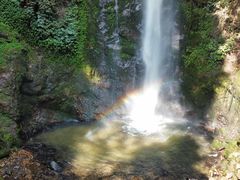 -莫里热带雨林景区