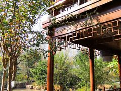 -合肥滨湖国家森林公园