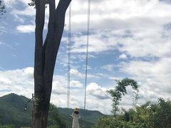 -大树秋千