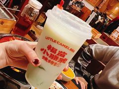 -福苗小骆驼烧烤(大唐不夜城店)