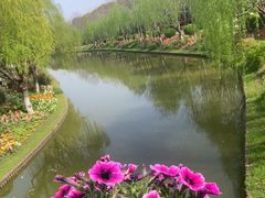 -上海鲜花港