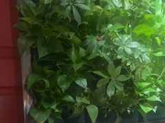 -巴奴毛肚火锅(广益哥伦布店)