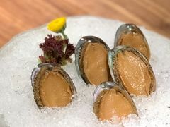 手工冰镇鲍鱼-木棉·醉心粤味(COCO Park店)