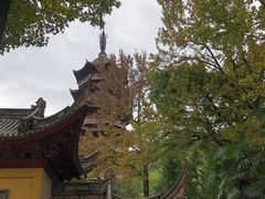 -阿育王寺