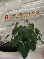 -上海时光整形外科医院