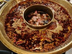 -舌尖记忆重庆火锅(悉尼店)