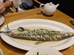 清蒸白鱼-啄佬食堂