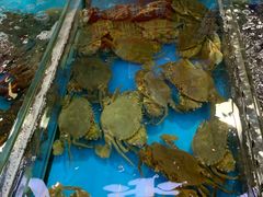 水产区-四川小胡子海鲜(丁村万人海鲜广场店)