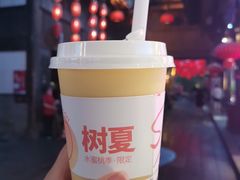 -树夏(锦里店)