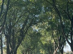 -陶祖圣境风景区