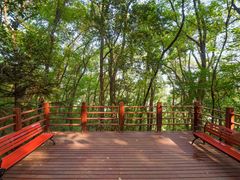 -上海佘山国家森林公园天马山园