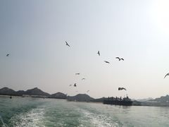 -海驴岛(荣成市)