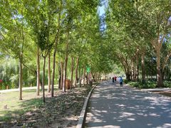 -长春公园(普阳街道)