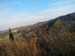 -青龙山生态文化旅游区(慈云寺)