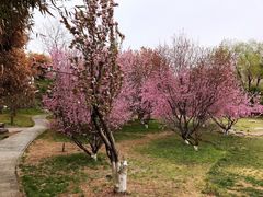 -丰台花园