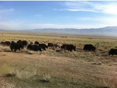 -青海湖国家重点风景名胜区