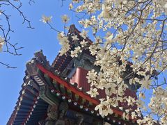 -北京艺术博物馆(万寿寺)