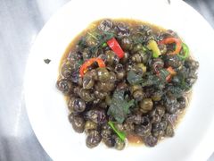 -新会鲜蚝鸡煲(新会总店)