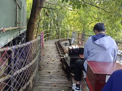 -海南槟榔谷黎苗文化旅游区
