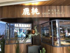 门面-大树餐厅(益田假日店)