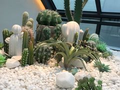 -大树餐厅(红旗街万达店)