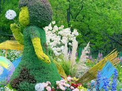 -上海共青森林公园