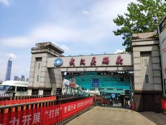 -武汉关码头(轮渡站)