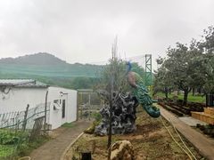 -丽泽山庄·生态怀柔菜·虹鳟鱼(红螺寺店)