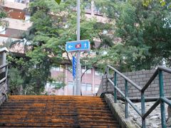 -香港大学