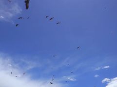 -色达喇荣五明佛学院
