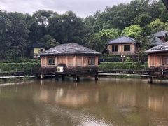 -罗浮山嘉宝田森林温泉度假酒店