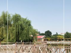 -张店儿童公园
