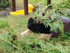 -杭州野生动物世界