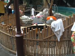 -顺景温泉