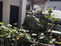 -美味之家·湖景农家乐(太湖东山店)