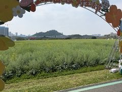 -光明小镇欢乐田园