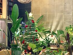 -上岛咖啡(珠园店)