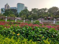 -九龙公园