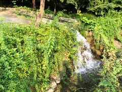 -水绘园