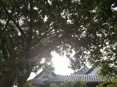 -黄埔古港