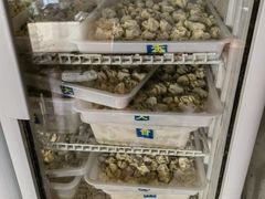 -真真鲜馄饨店(启蒙路店)