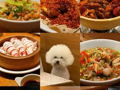-乔街深夜食堂·小龙虾·高压锅生蚝(杭州总店)
