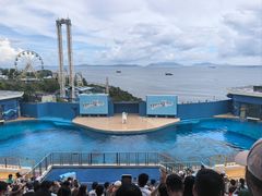 -香港海洋公园
