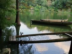 -深圳仙湖植物园