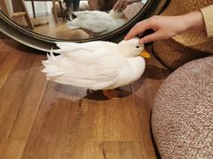 -陈记柳州螺蛳粉(大坪店)