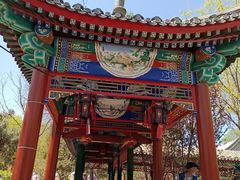 -南宫五洲植物乐园