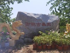 -御林古桑园